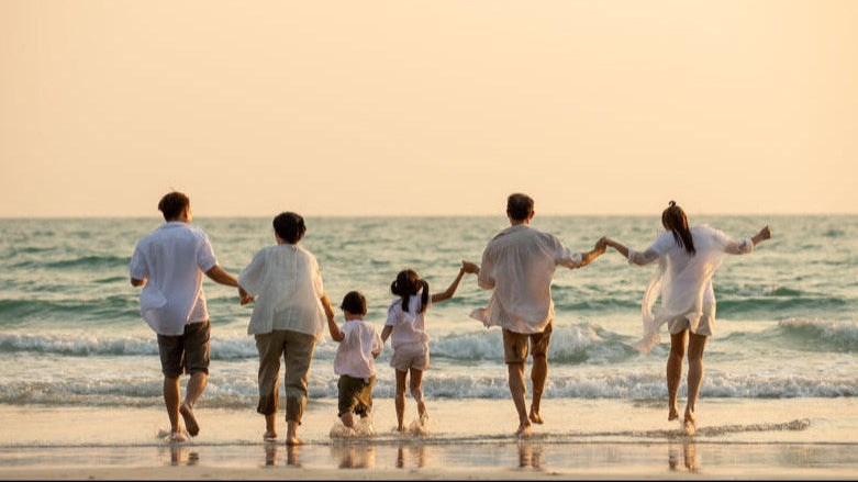 Protein neu gedacht: Warum Aminosäuren der Schlüssel zu gesunder Langlebigkeit sein können.