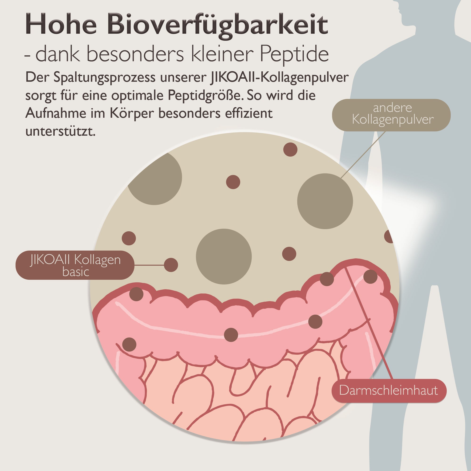 Premium Kollagenhydrolysat + Vitamin C | JIKOAII®