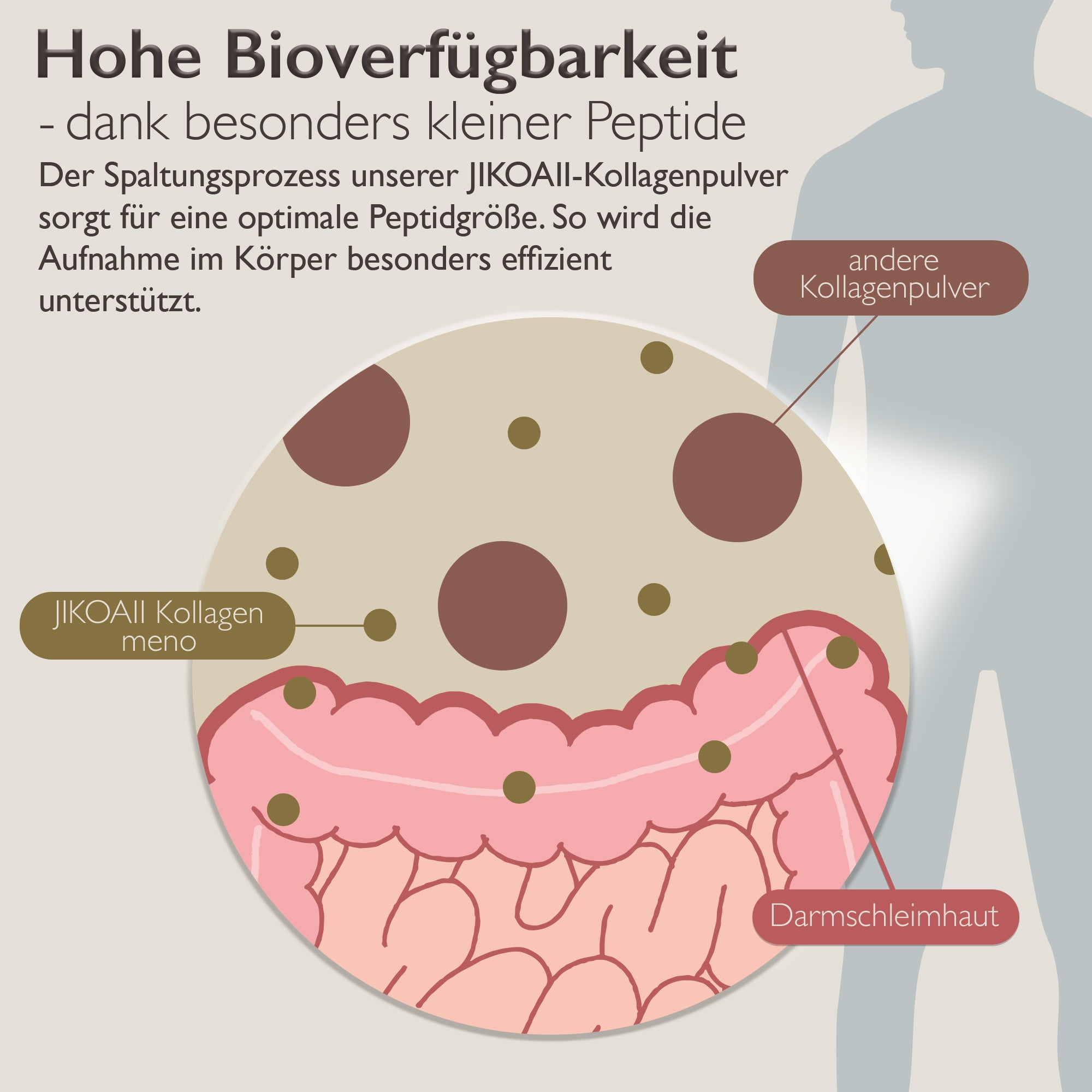 PREMIUM Kollagenhydrolysat MENO + Vitamin C u.v.m. | JIKOAII®