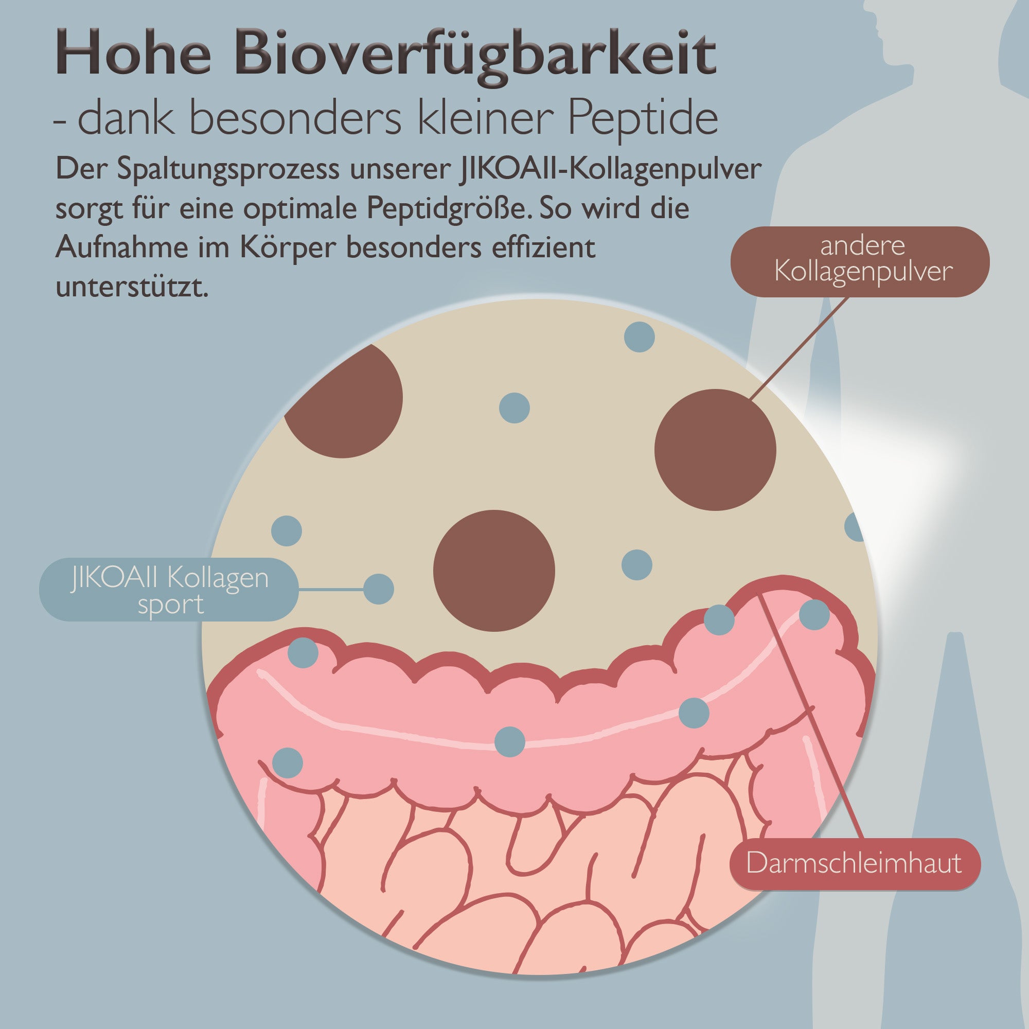 PREMIUM Kollagenhydrolysat SPORT + Kreatin und weiteren Vitaminen | JIKOAII®