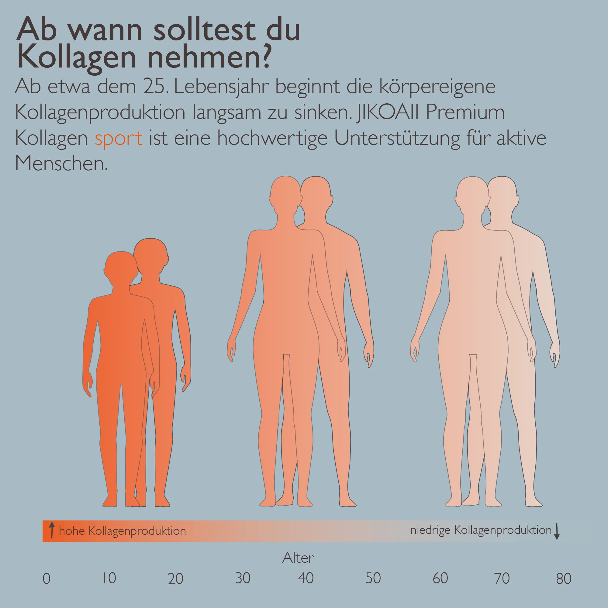 Premium Kollagen SPORT 450g - Power & Regeneration für Aktive