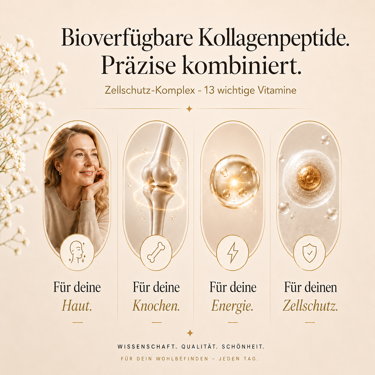 PREMIUM Kollagen Basic + Meno | FLEXIBEL KOMBINIERBAR
