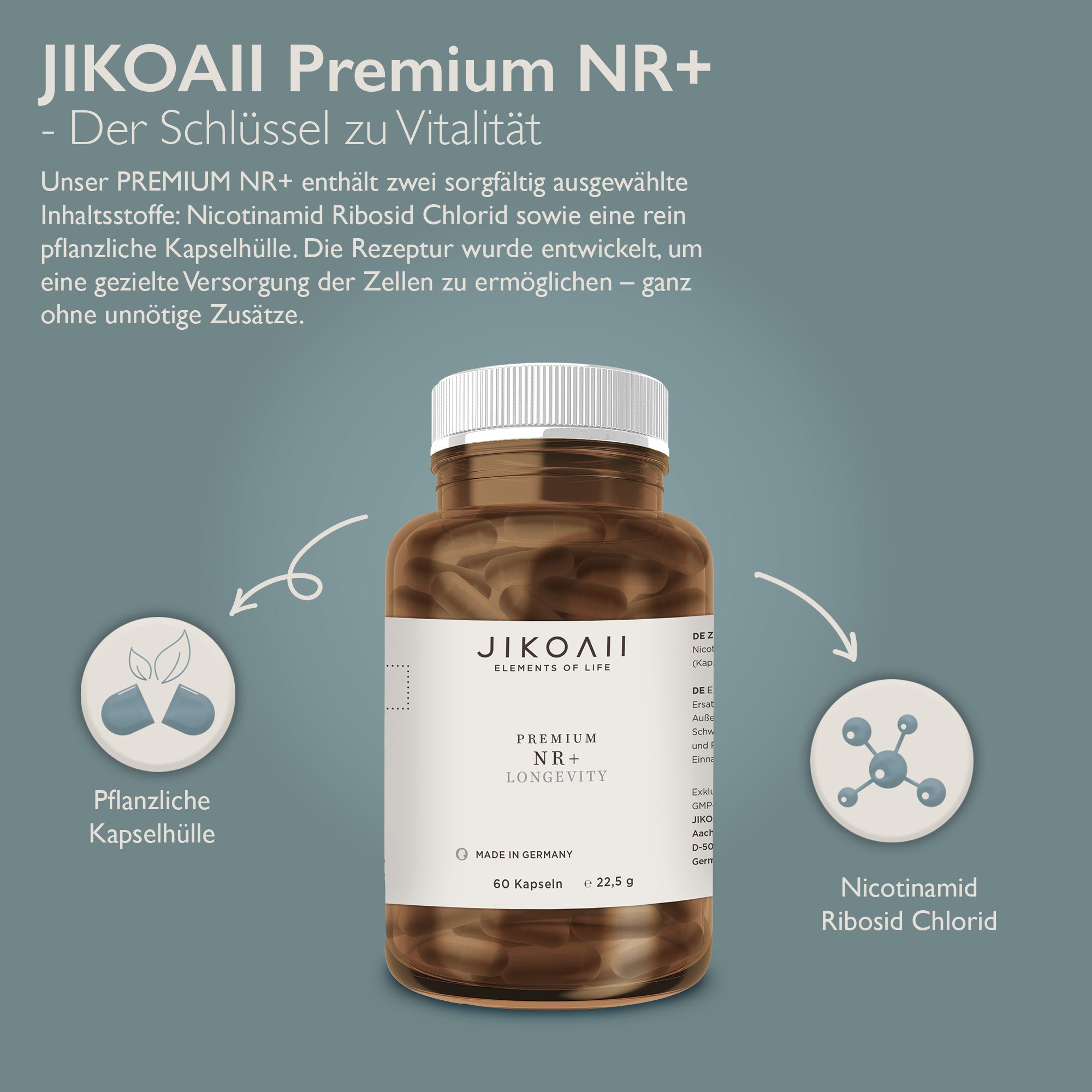 PREMIUM NR+ , hochwertigste Nährstoffe die unterstützen - 60 Kapseln