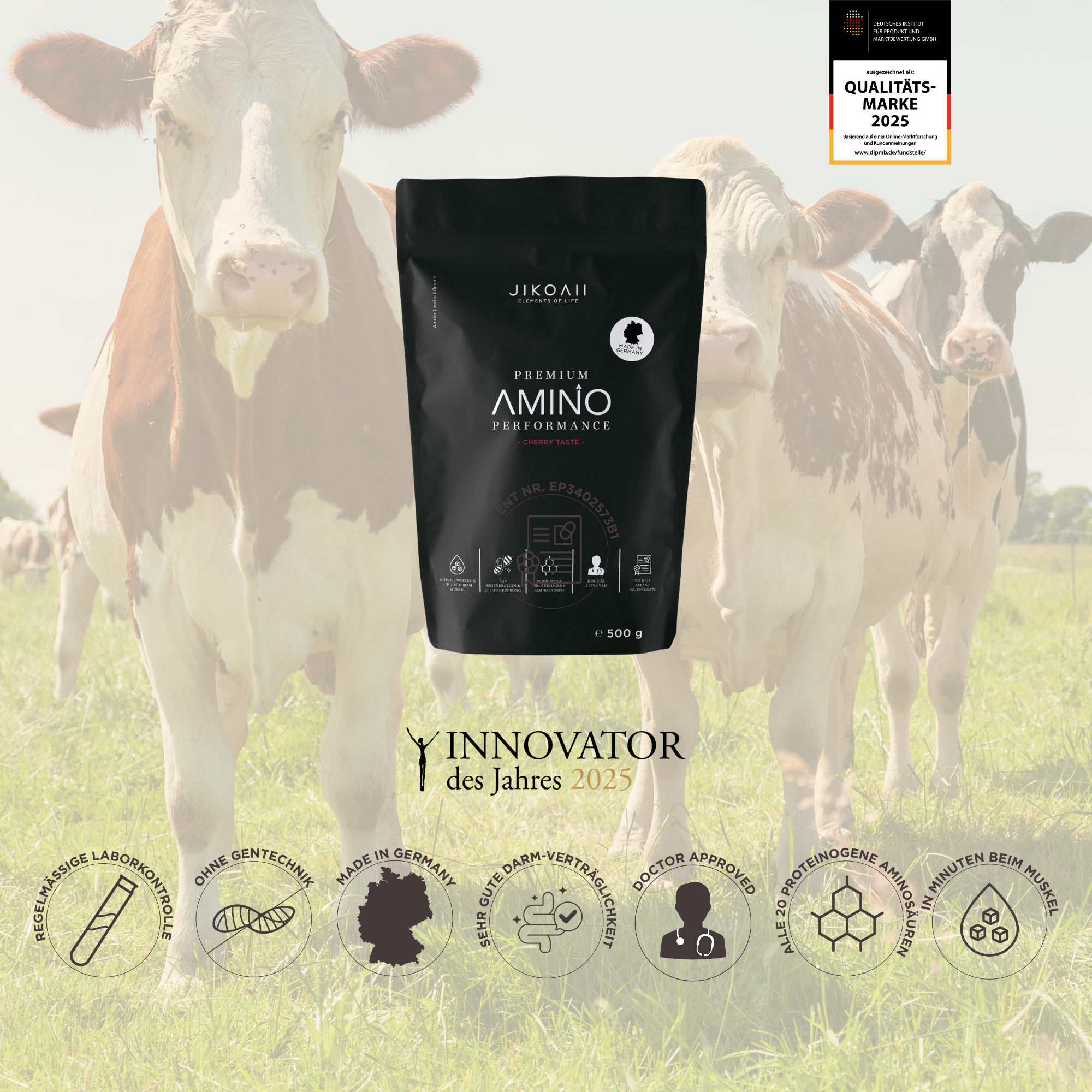 PREMIUM Amino Performance | Aminosäuren | JIKOAII® - Kirsch