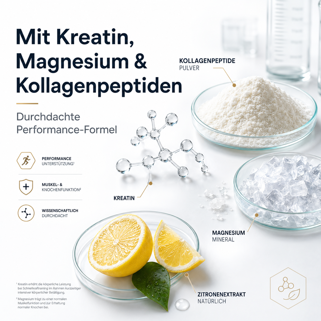 Kollagen Pulver mit Kreatin – Für Sport & Regeneration | JIKOAII®