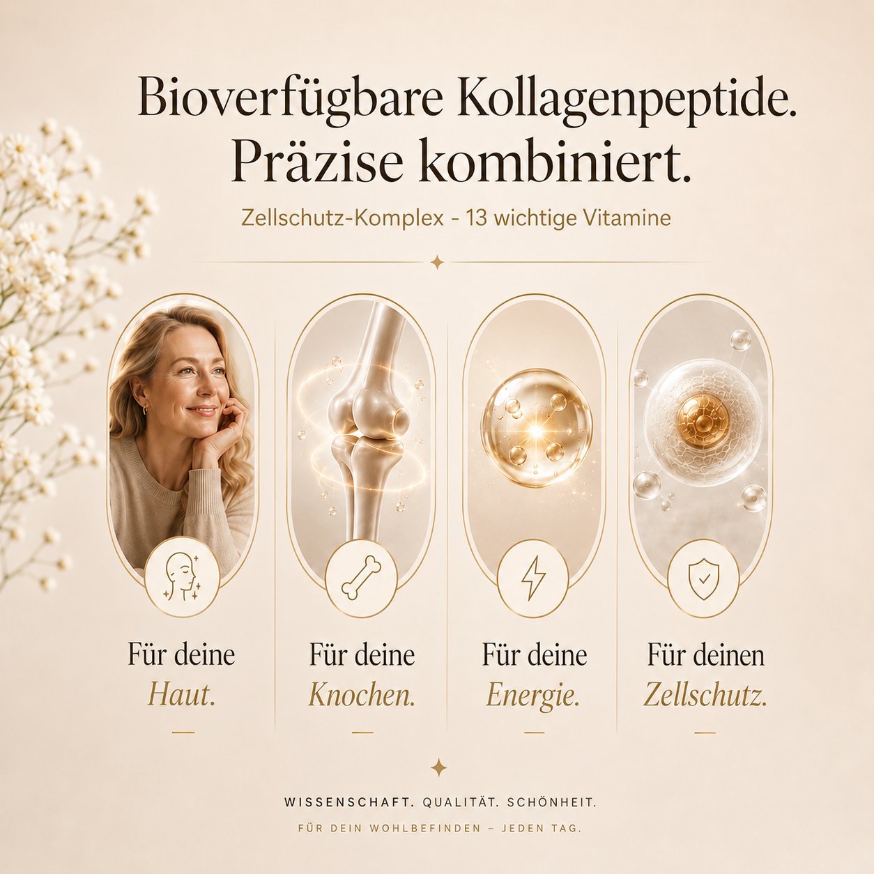 Premium Kollagen MENO – Unterstützung in den Wechseljahren | JIKOAII®