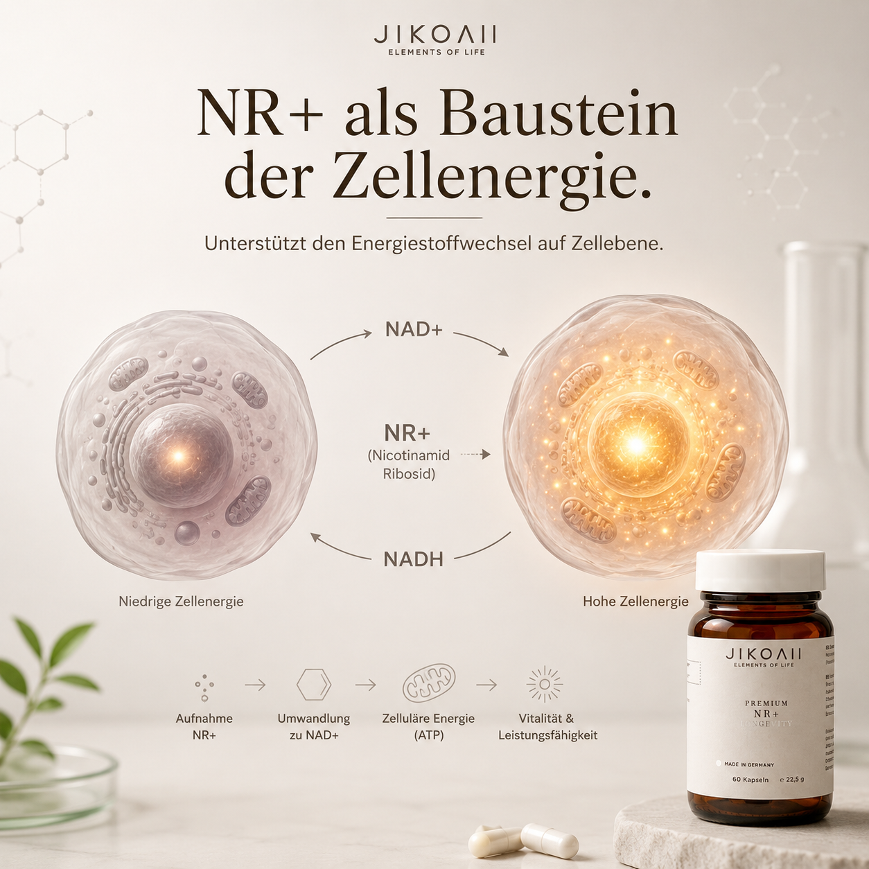 NR+ | Energie & Zellschutz im Alltag | NAD+ Booster | JIKOAII®